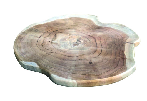 Slim teak root mushroom - root,