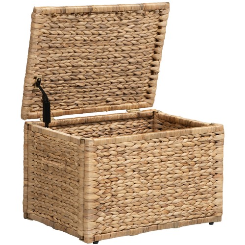 Ehemco water hyacinth - water,