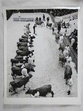 Dairy Show Olympia London 1969