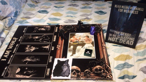 Lone wolf bundle