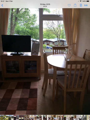 Pets welcome bude - pets,