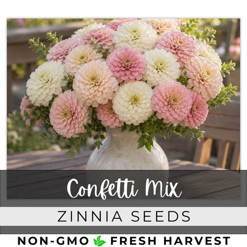 125 confetti mix zinnia seeds - confetti,