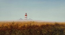 Lawrence Coulson - Summer Mist