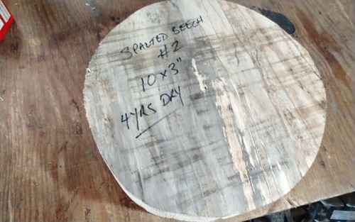 Spalted beech bowl blank - bowl, wood