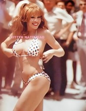 KITTEN NATIVIDAD #4 BEAUTIFUL