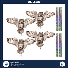 Effective reflective owl - owl, bird