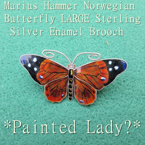 Marius hammer norwegian - hammer,