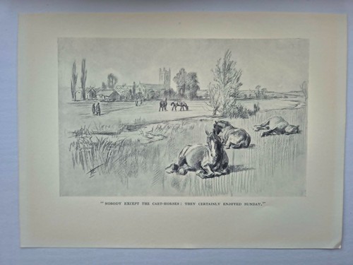 Antique pencil drawing - antique,