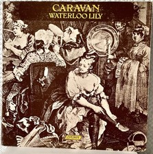 Caravan – Waterloo Lily -