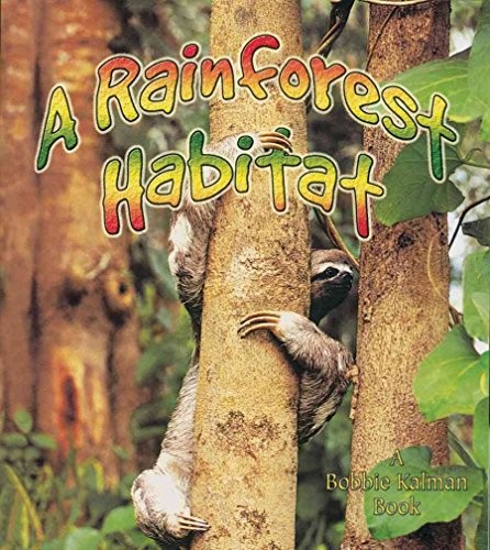 Rainforest habitat - rainforest,