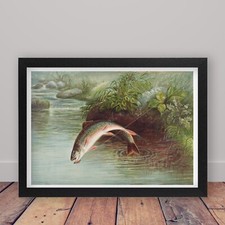 Framed Leaping Brook Trout