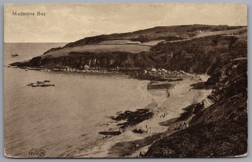 Brixham devon mudstone bay - devon,