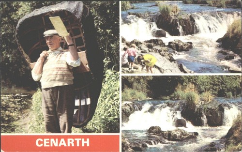 Vintage cenarth postcard - cenarth,