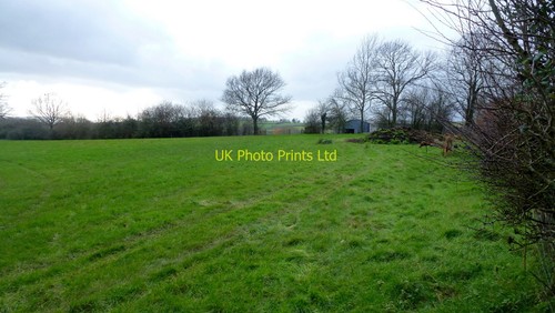 Photo 6x4 pasture land - 6x4,