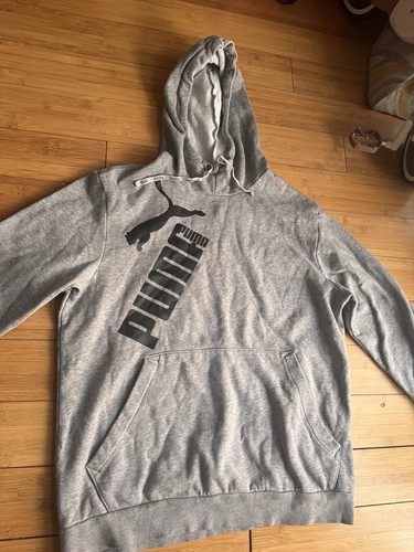 This grey puma - is,