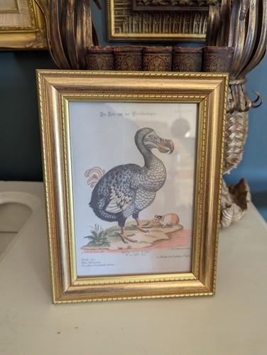 Framed art print antique - framed,