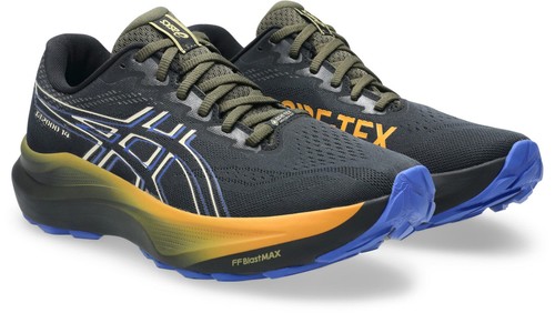 Asics 2000 gore - 14, gore-tex