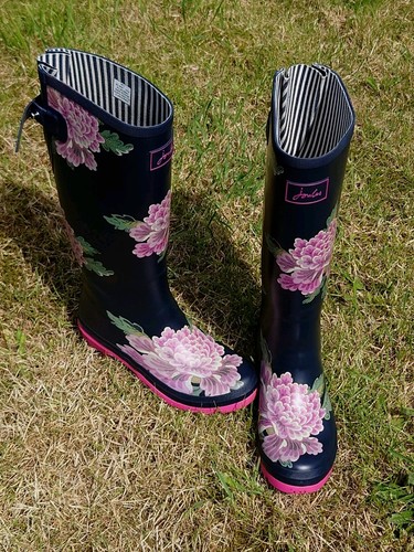 Joules women tall height - tall,