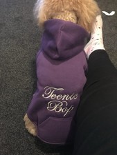 Job Lot Dog Hoodies BLANK Size Medium