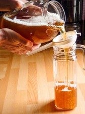 Healthy, Organic Kombucha Scoby to start making Kombucha at home. Free P&P