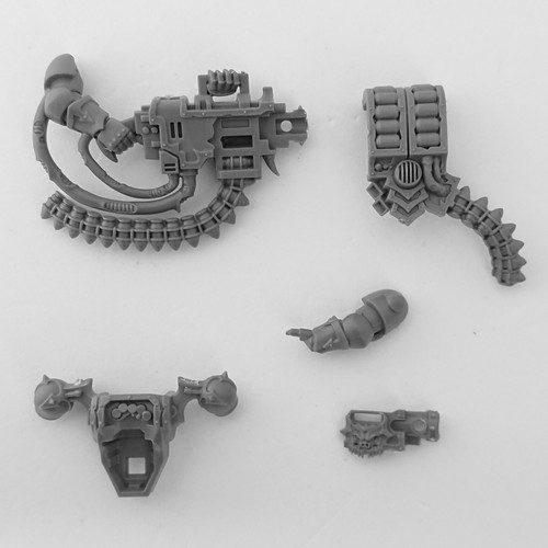 Chaos space marine - marine, havocs