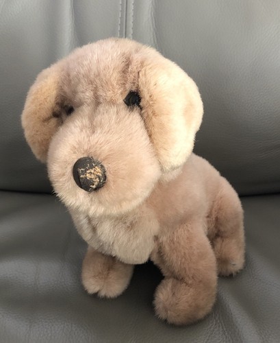 Guide dogs golden - guide,