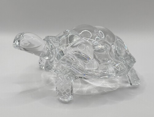 Turtle tortoise boutique - turtle,