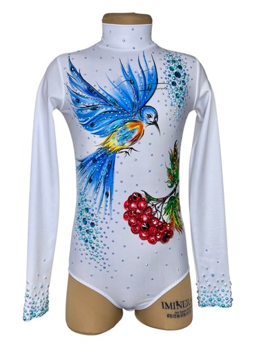 Rhythmic gymnastics blue bird - gymnastics,