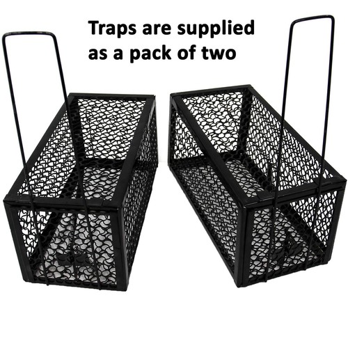 Mouse rat trap humane live - rat,
