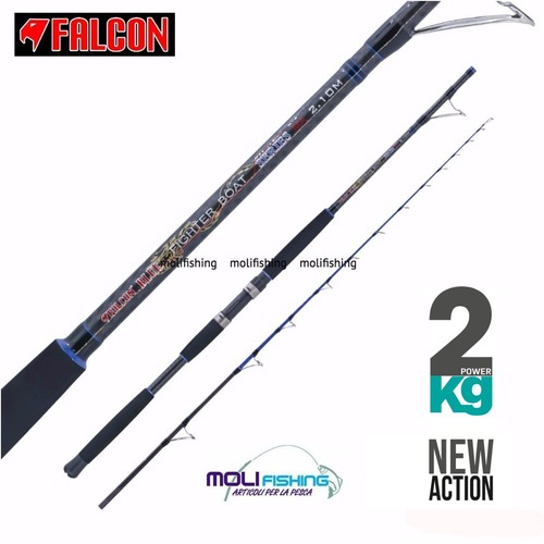 Fishing rod from the boat - the,
