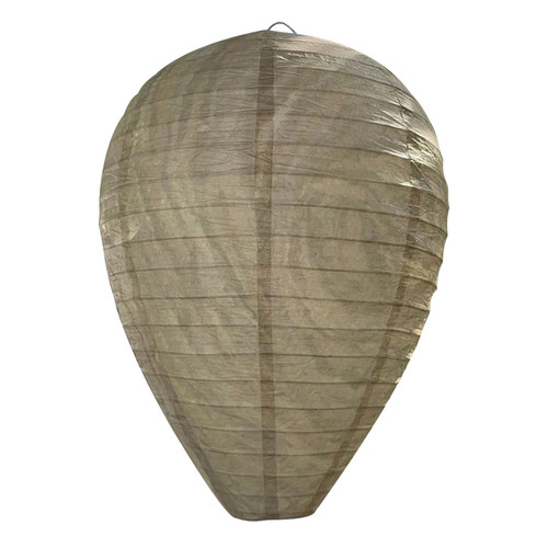 Hanging wasp nest - hanging,