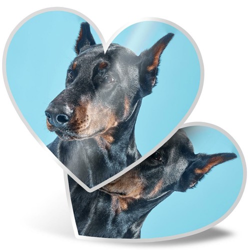 Heart stickers cm - stickers,