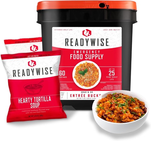 Readywise servings lunch - 60,
