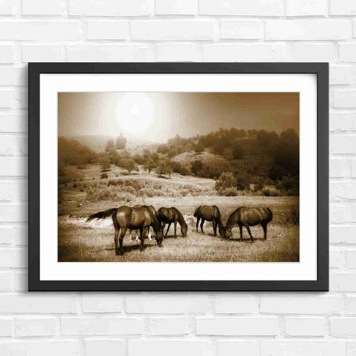 Pastoral breezy horse herd - pastoral,
