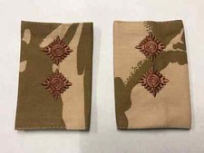 Pair of Official Desert DPM