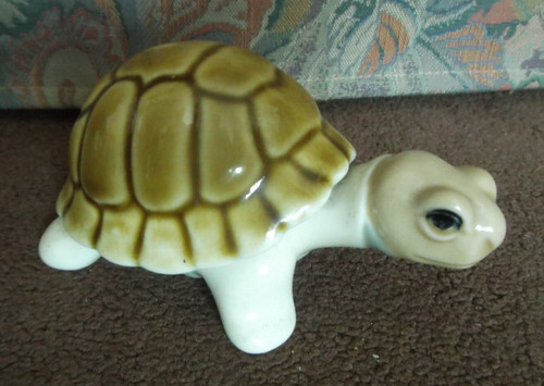 Spanish porcelain tortoise - spanish, 5