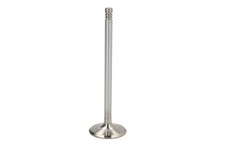 Intake Valve NE 147035000400