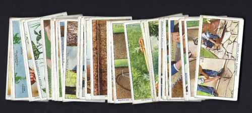 Wills garden hints 31 - hints,