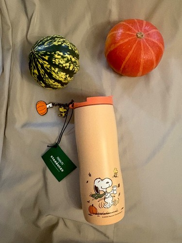 Starbucks peanuts snoopy - x,