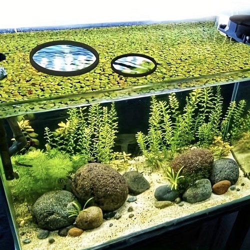 5pcs aquarium floating - aquarium,