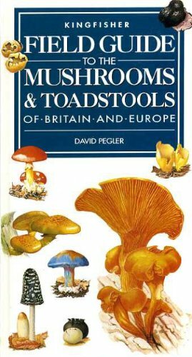 Field guide the - field, to