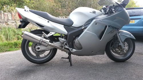 Cbr1100xx blackbird stainless - cbr1100xx,