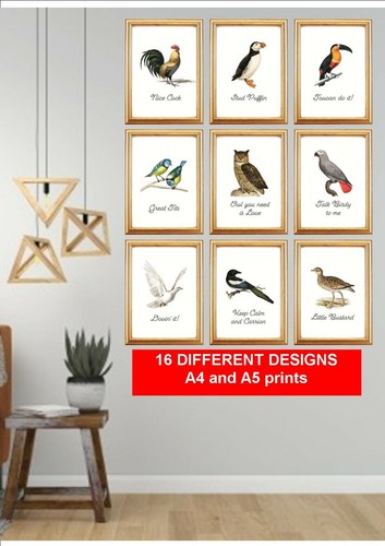 Funny bird puns quotes - bird,
