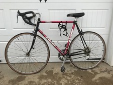 Raleigh USA Pro 