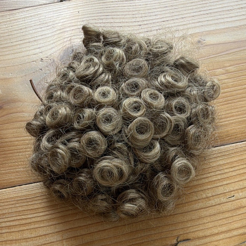 Irish dance - irish, bun