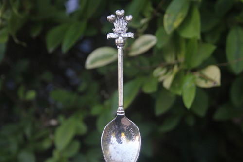 Vintage spoon king charles and - charles,