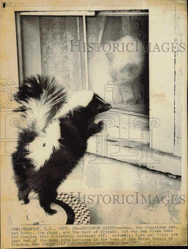 1972 press photo - 1972, the