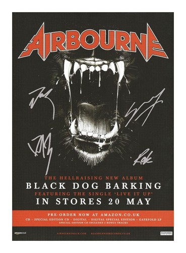 Airbourne entire group - airbourne,