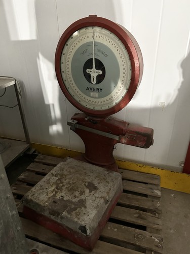 Avery scales vintage - avery,
