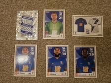 EFL Panini Stickers -